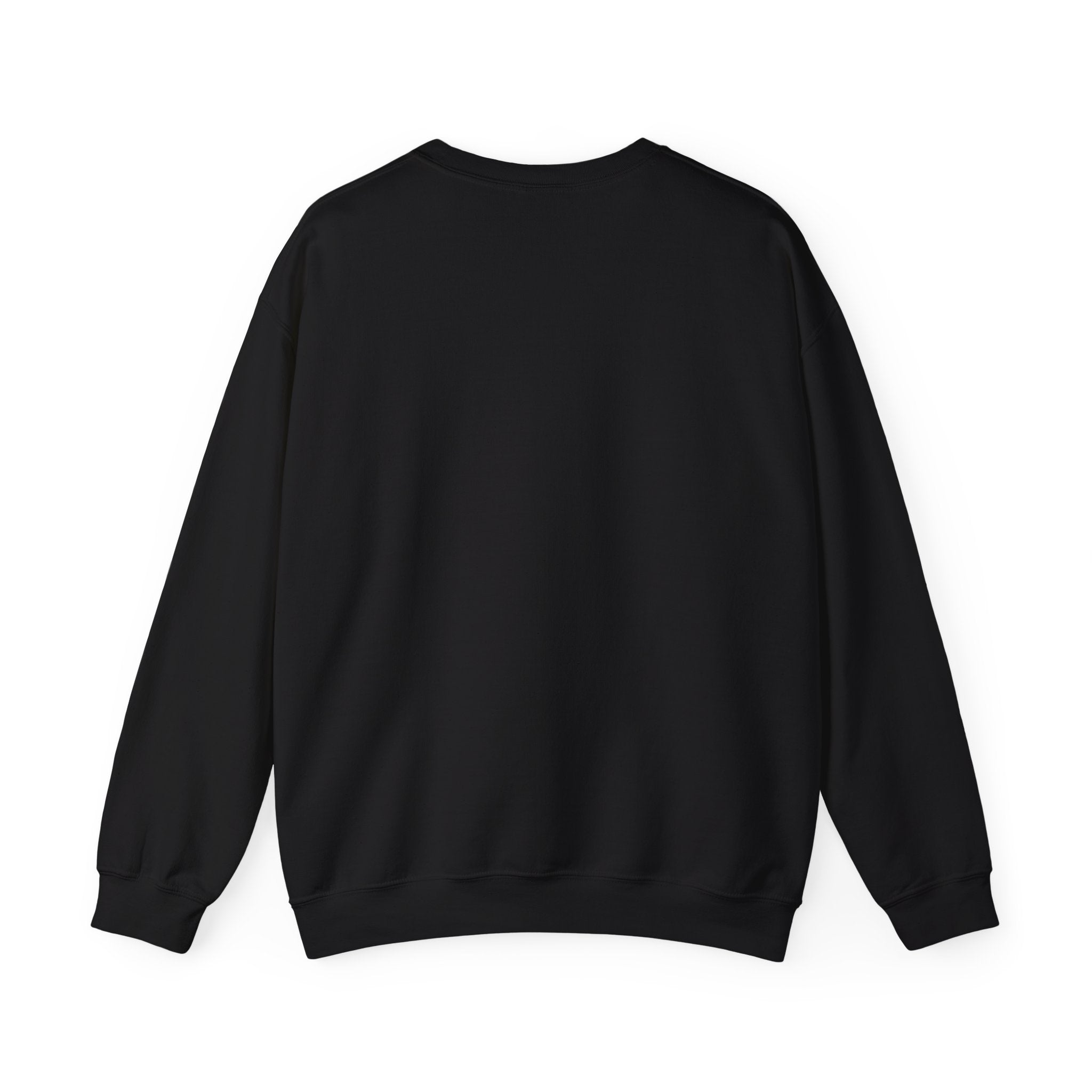 47th Sweatshirt